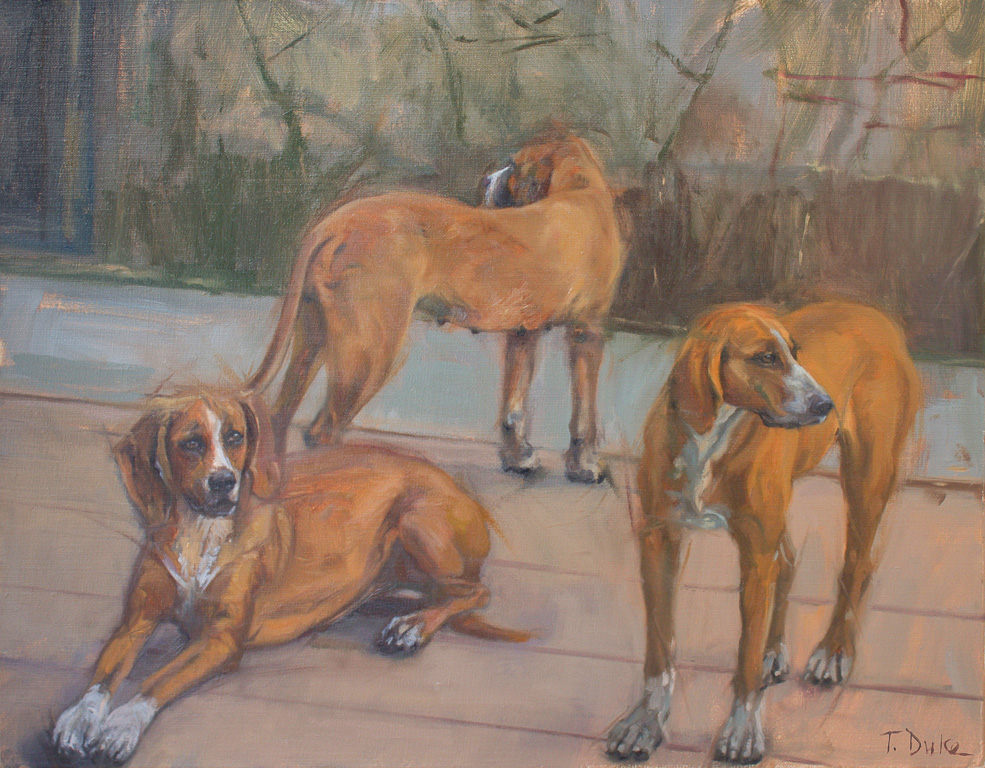 Hounds of the Orange County Hunt16" x 20"Oil on linen