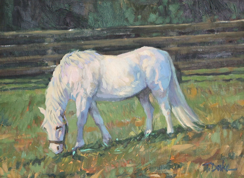 White Pony9" x 12"Oil on linen